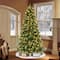 7.5ft. Pre-Lit Galveston Fir Artificial Christmas Tree, Color-Select LED Lights